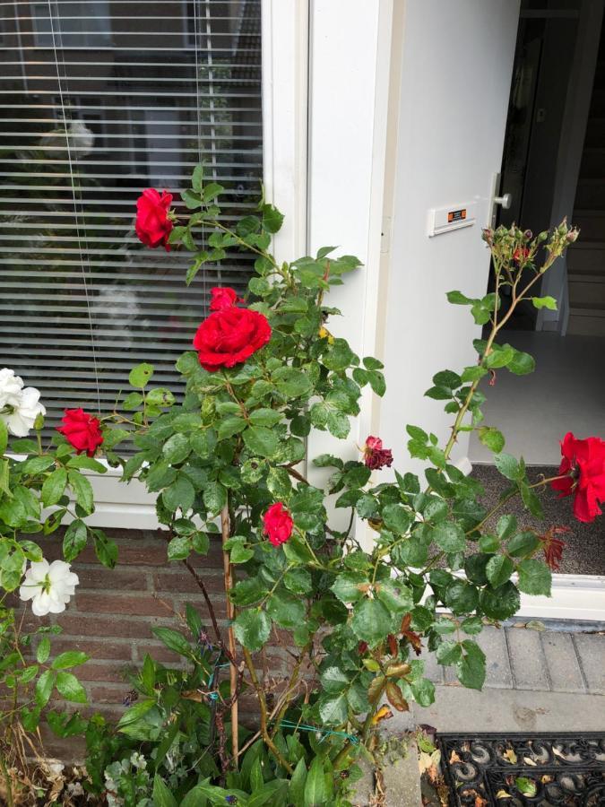 Vakantiewoning In Middelburg Zeeland Exterior photo